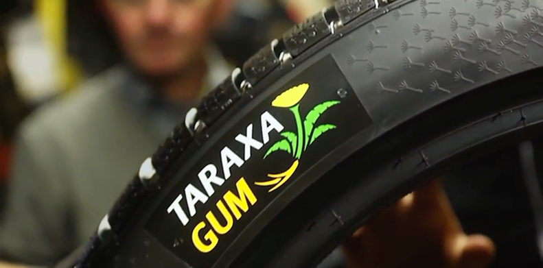 (imagem em close de pneu escrito "TARAXA GUM" - pneu de borracha de dente de leão - com fundo desfocado em pessoas)