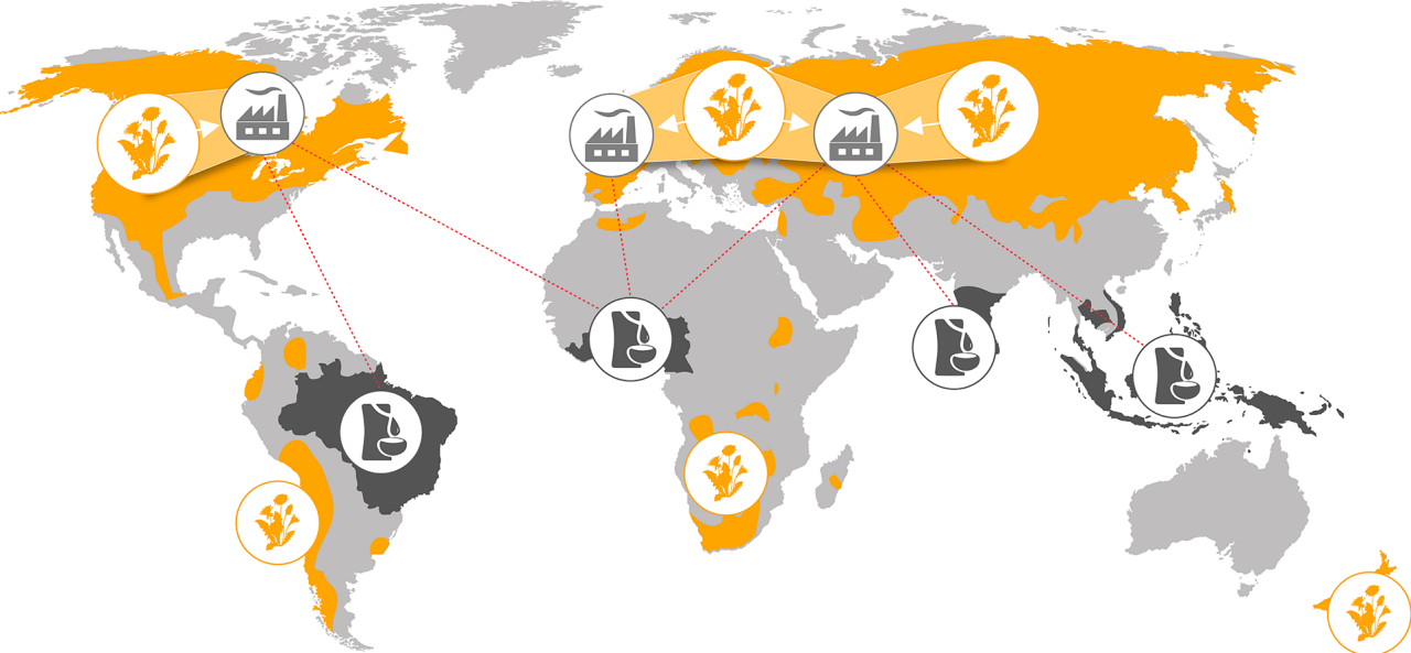 (imagem de mapa global com indicações dos locais onde existe coleta de material de seringueiras, dente de leão e fábricas)