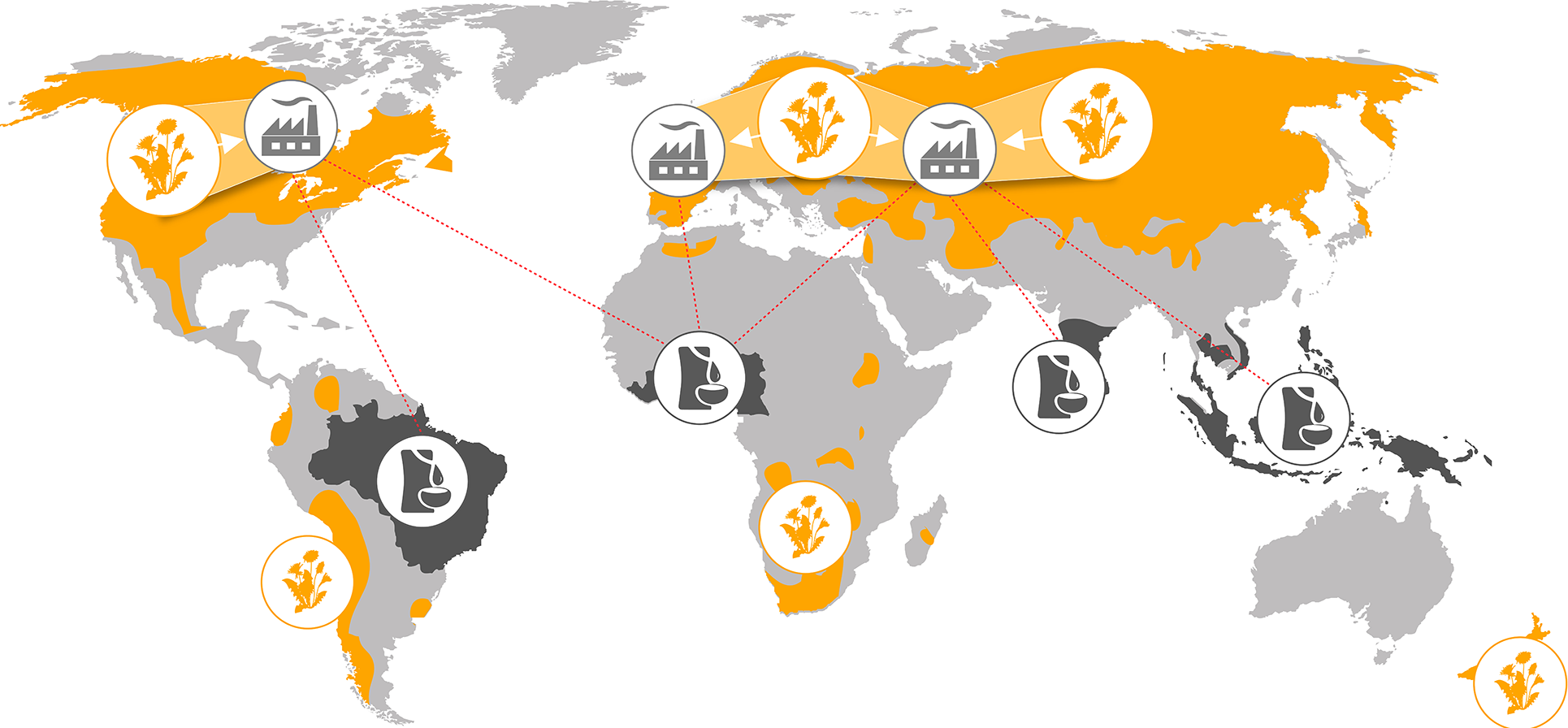 (imagem de mapa global com indicações dos locais onde existe coleta de material de seringueiras, dente de leão e fábricas)