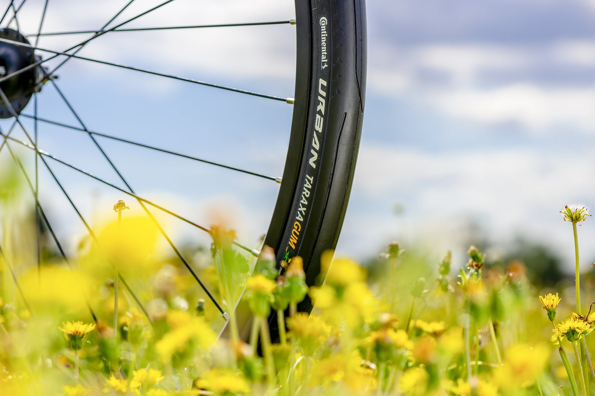 Pneu de bicicleta com borracha Taraxagum de dente-de-leão