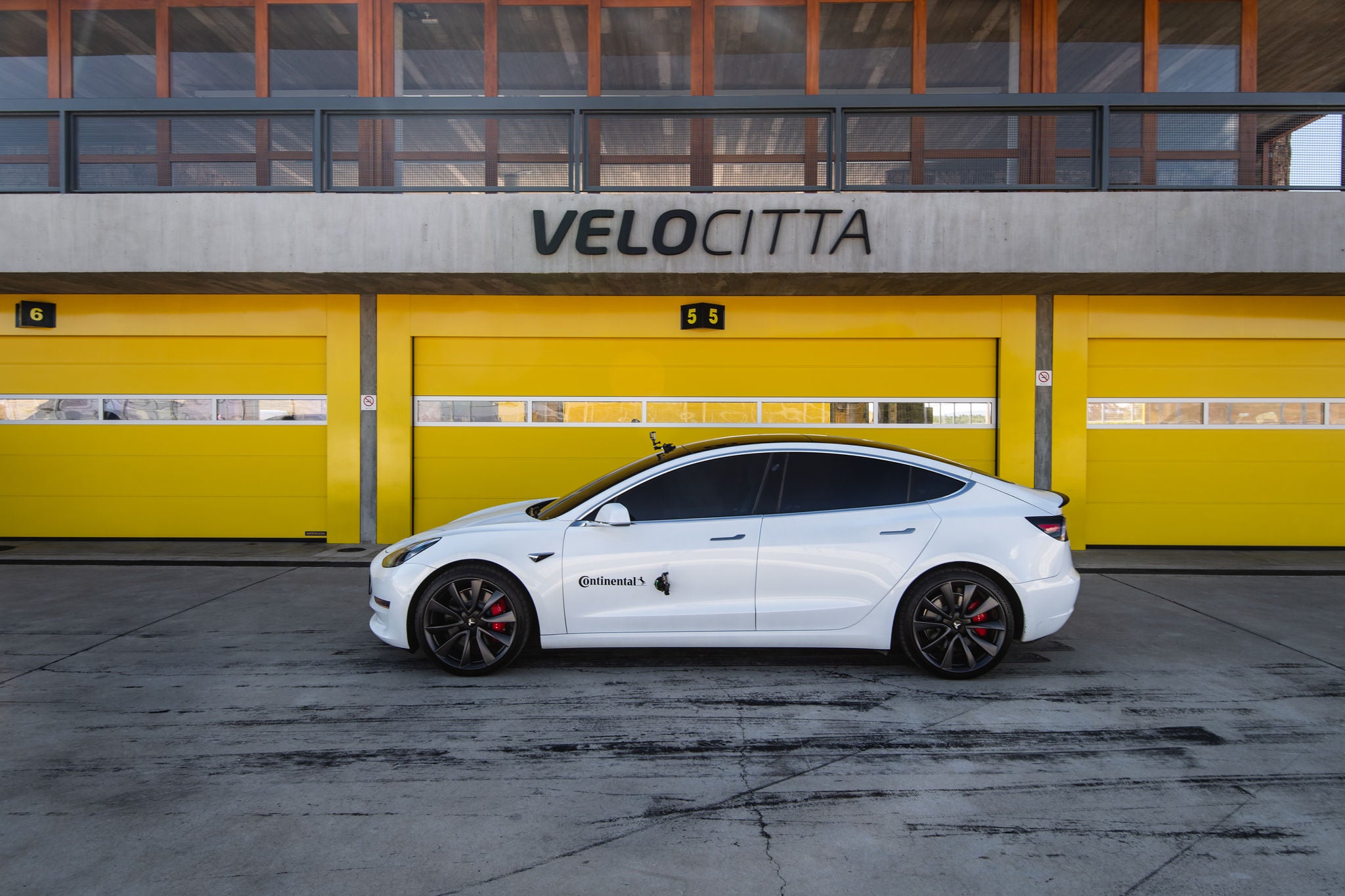 (foto de Tesla branco em frente a portões amarelos)