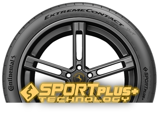 ExtremeContactSport